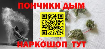 шишки Заводоуковск